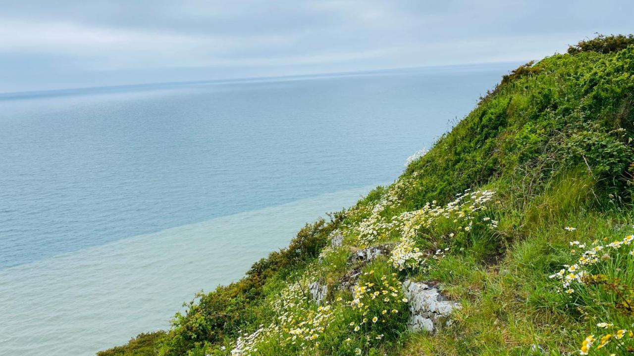 Gordy Hall -Sea Facing Welsh Cottage With Stunning Views เพนไดน์ ภายนอก รูปภาพ